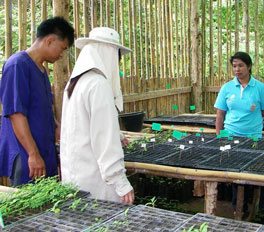 1. A Surathani team leader presented fruits from southern Thailand to the headman.
