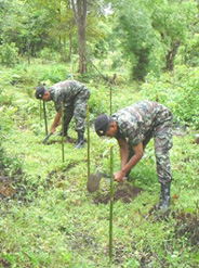 4. two soldiers planting (V)