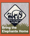 Bring The Elephants Home