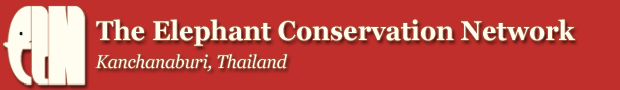 Elephant Conservation Network (ECN)