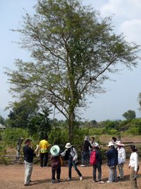 ECN Team looking at tree