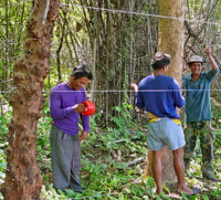 A cooperative effort by villagers, Salakpra and ECN to erect an electric fence between the forest and the village of Tha Sanun