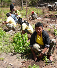 Tree planting in Thung Salakpra.