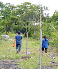 CSR initiative of DTAC.