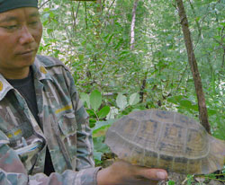 Noi with Elongated Tortoise at Huai Kabok