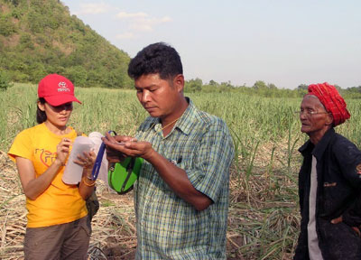 ECN's Mem and village monitor Veera plotting damage to the sugarcane of Farmer Tawee.