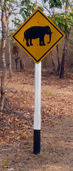 Elephant Crossing Sign alongside Salakpra