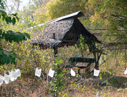 String and plastic bags around Ta Manao nursery