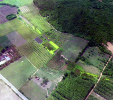 Aerial photograph of land use around Salakpra