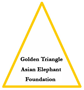 Golden Triangle Asian Elephant Foundation